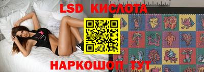 PSILOCYBIN Тверь