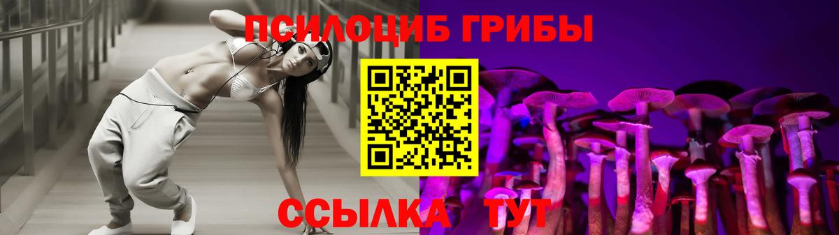 Псилоцибиновые грибы Psilocybe Ртищево